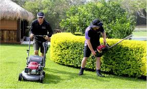 Lawn Moving