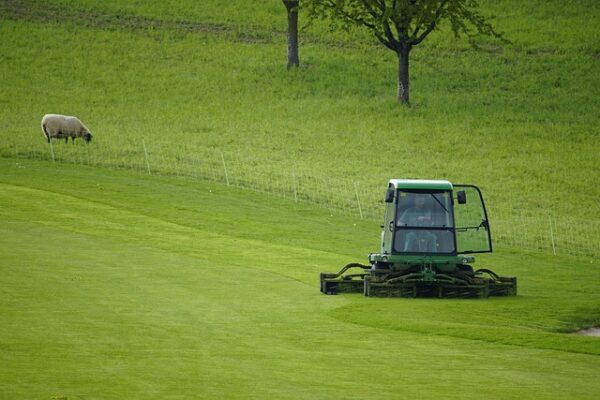 Basic Lawn Mowing