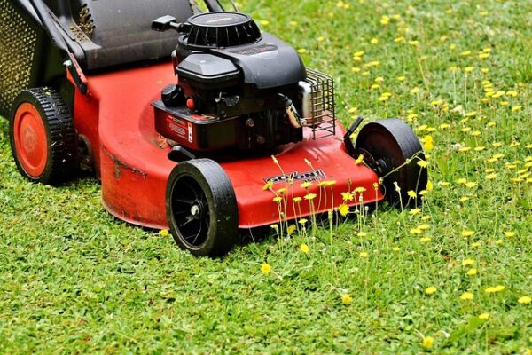 Standard Lawn Care